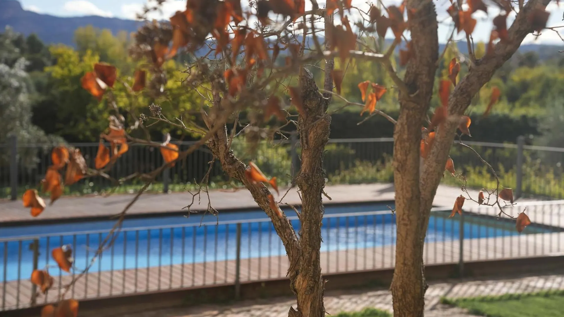 Hotel Hort De Fortunyo Арнес